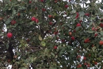 20190920_143122